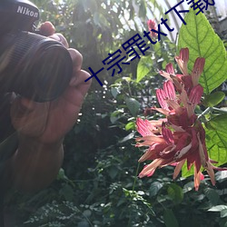 十宗罪txt下載