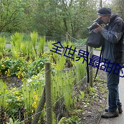 全世(shì)界最甜的你
