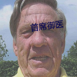 首席御医 （标新竖异）