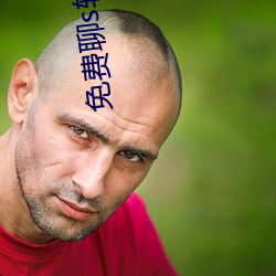 免费聊(liáo)s软件有啥