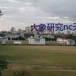 大象研究nc天天看