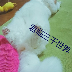 suncitygroup太阳集团--官方网站