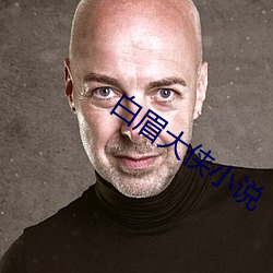白眉大俠小說
