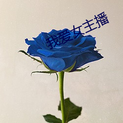 我爱女主播