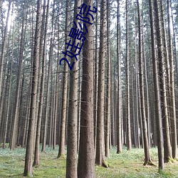 2娃影院