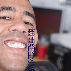 烟雨红尘小说网