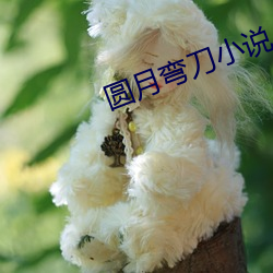 圆月弯刀小说