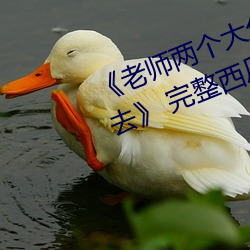 《老師兩個大兔子在襯衫裏抖來抖去》 完整西瓜視頻在線觀