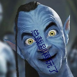 总裁别再玩了 （逢场作戏）
