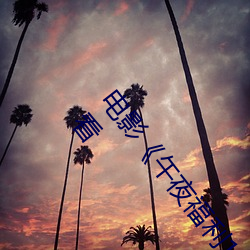 电(電)影午夜福利1000集(集)2019年(年)》高清(清)无(無)删减版在线(線)观看