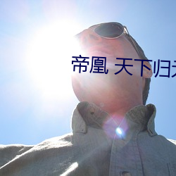 帝凰 天(天)下归(歸)元