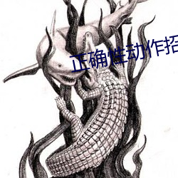 正确性动(動)作(作)招(招)式(式)