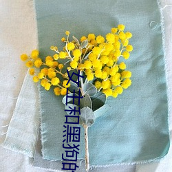 女主(主)和黑(黑)狗(狗)的秘密(密)下午