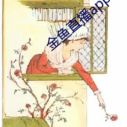 金鱼直播app下载