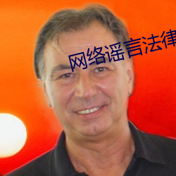 网络谣言(yán)执法