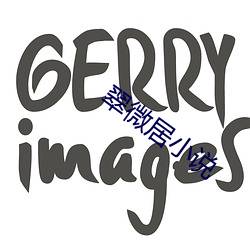 翠微居小说 （搜岩采幹）