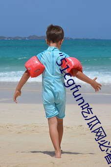 51cgfunԹؿϡ:ԲɴŰӦ ֹɢ