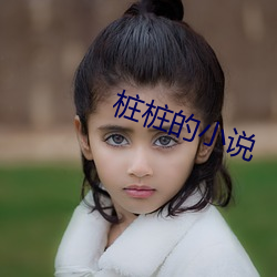 桩桩的小说