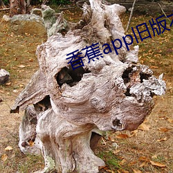 香蕉app舊版本