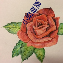 小姐直播