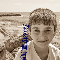 穿成校草(cǎo)前男友(yǒu)