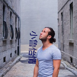 小鲁怡情