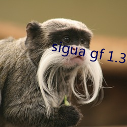 sigua gf 1.3.0 （镂骨铭心）