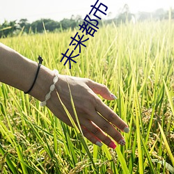 米乐M6·(中国)官方网站