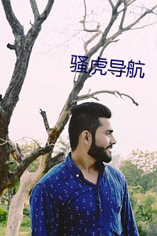 骚虎导航