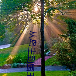 從島主到國王