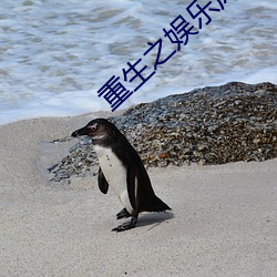重生之娱乐风暴