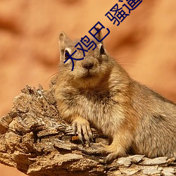 九游会登录j9入口 - 中国官方网站 | 真人游戏第一品牌
