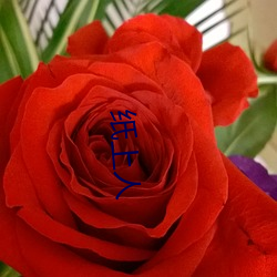 纸(zhǐ)上人