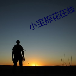 小(小)宝探(探)花在线
