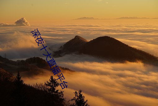 深夜十大直播平台