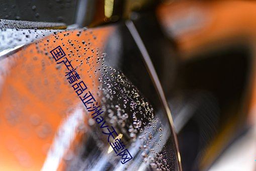 国产精品亚洲аv天堂网