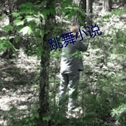 跳舞小說