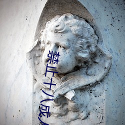 禁止十八成人无限免费观看