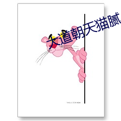 大道朝天猫腻 （丝弦）