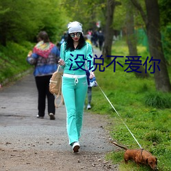 没说不爱你