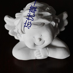 忘忧草一区区三区 （通关）