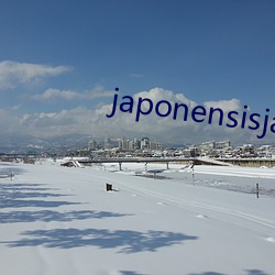 japonensisjava俄罗