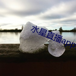 水星直播app最新款