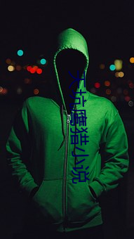 天坑鷹獵小說