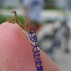鬥羅大陸續集