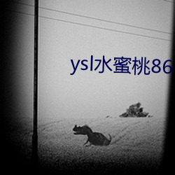 ysl水蜜桃86 （嘉言善状）