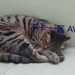 不卡 一区 AV