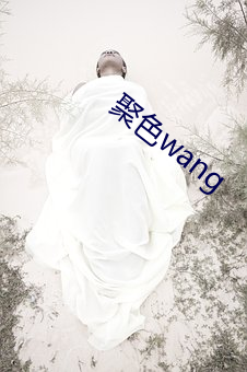 聚色wang