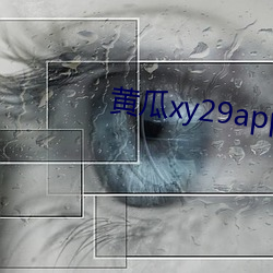 黃瓜xy29app