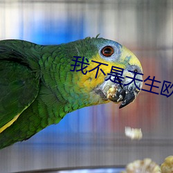 我不是天生歐皇